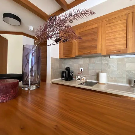 Lux B432 Vucko - Private Host Apartment